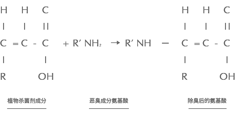 專業除甲醛